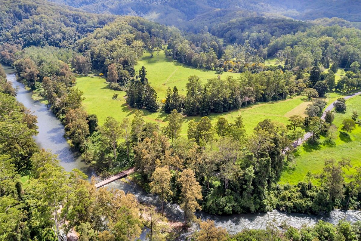 650 Darkwood Road, Thora, Bellingen NSW 2454, Image 1