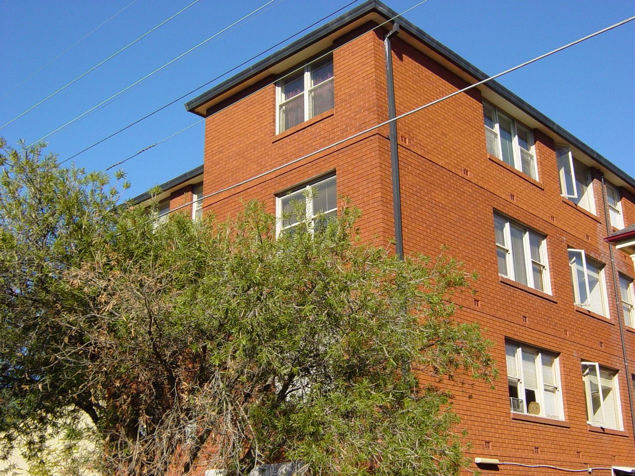 3/68 Tramway Street, Rosebery NSW 2018 Apartment For Rent Domain