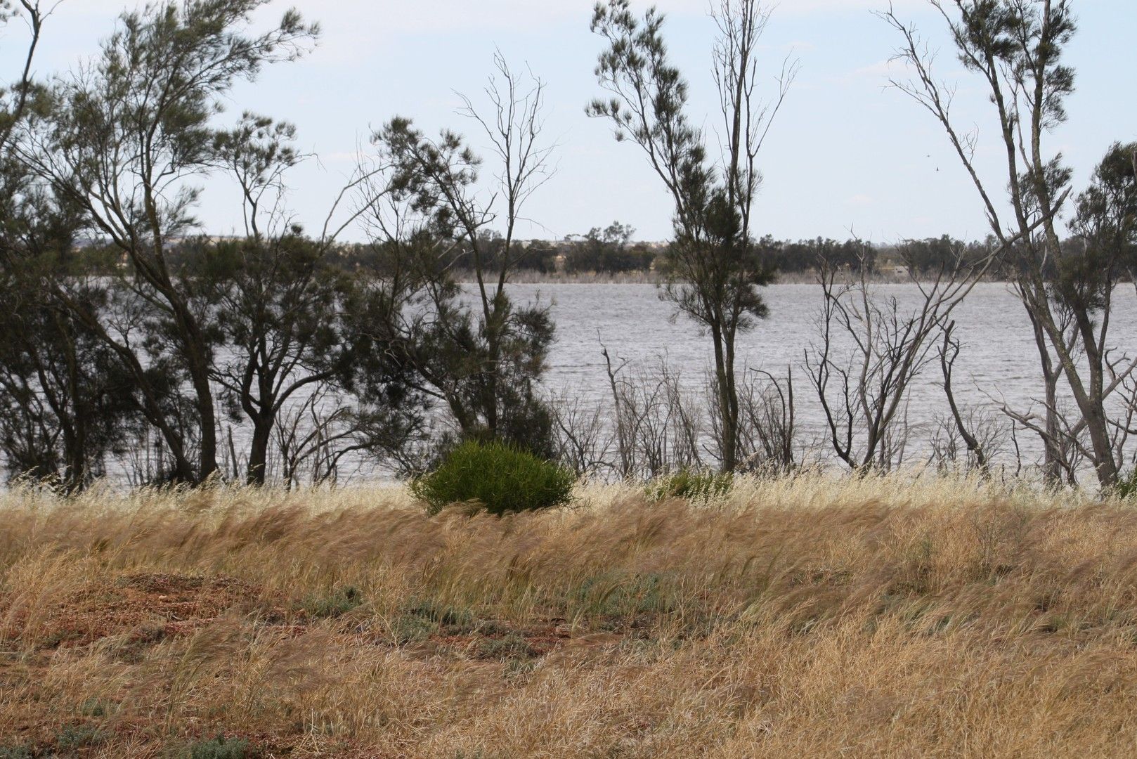 Lot 12692 & 6818 Rifle Range Road, Dumbleyung WA 6350, Image 0