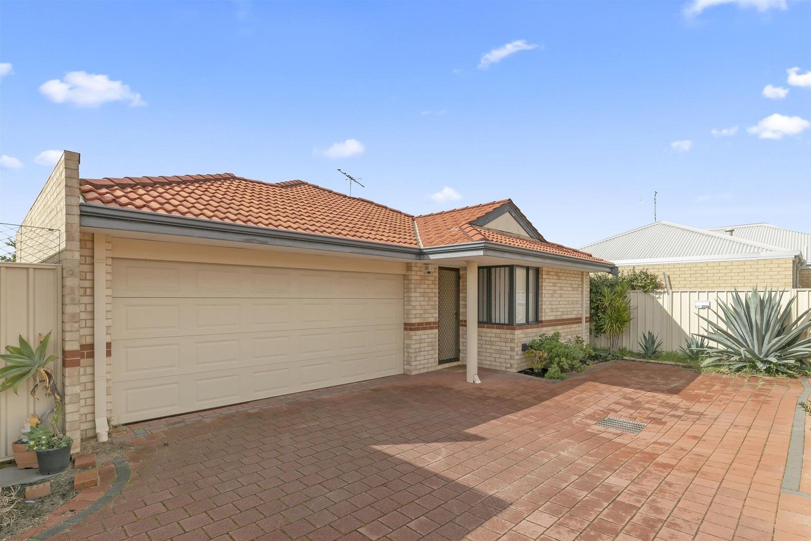 3 bedrooms Villa in 5/342 Flinders Street NOLLAMARA WA, 6061