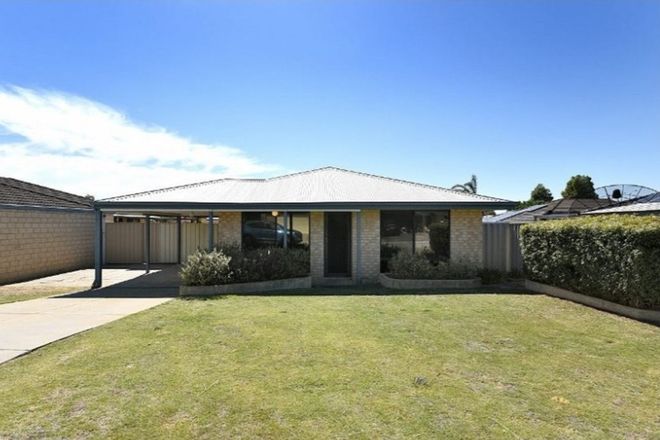 Picture of 11 Beefwood Street, BANKSIA GROVE WA 6031