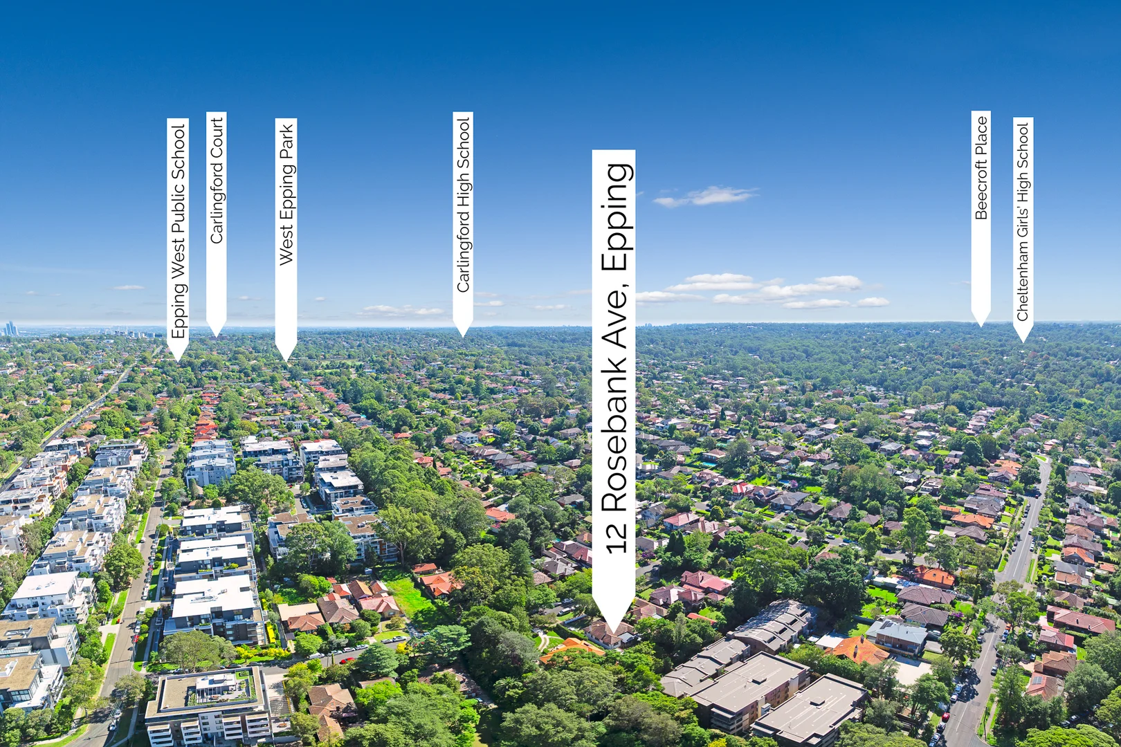 Additional image 17 of 12 Rosebank Avenue, Epping NSW 2121