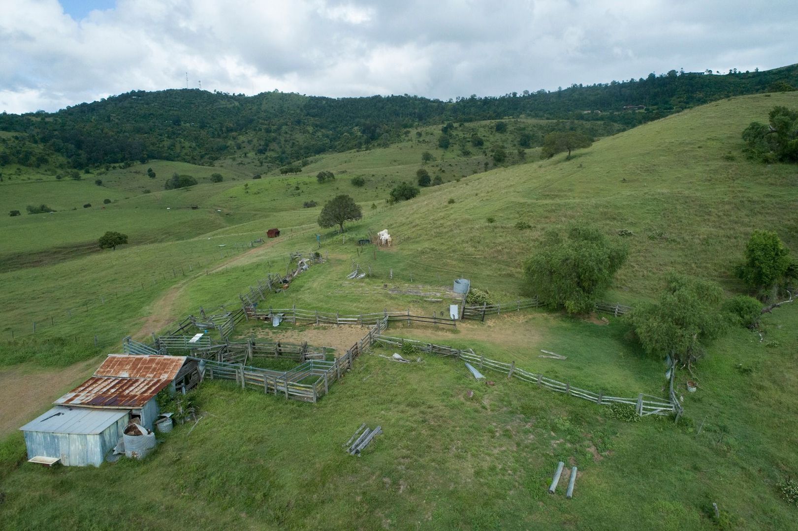 Vale QLD 4306 House for Sale Domain