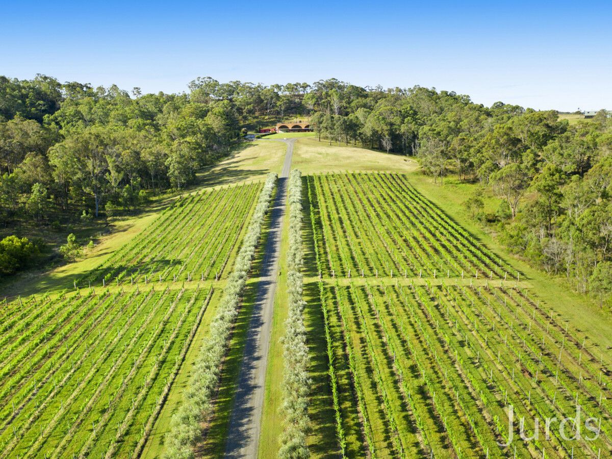 136 Talga Road, Lovedale NSW 2325, Image 0