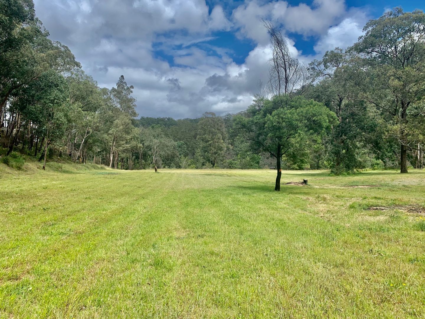 318 Stockyard Creek Rd, Paynes Crossing NSW 2325, Image 1