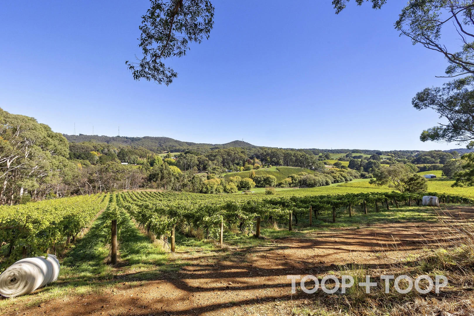 Additional image 2 of 12 Udys Road, Piccadilly SA 5151