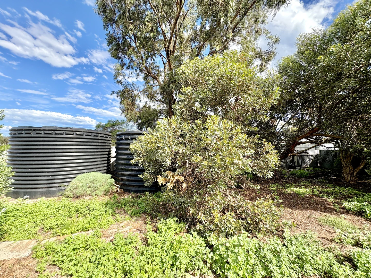 Additional image 18 of 18 Borlase Street, Ceduna SA 5690