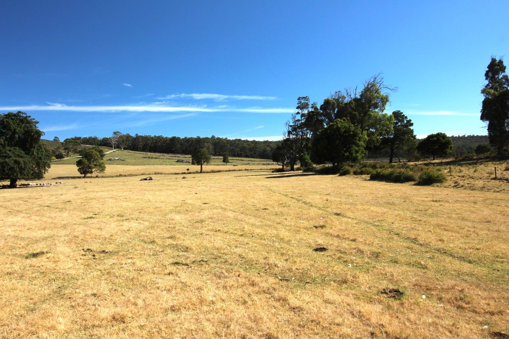 Vacant land in 402 Old Port Road, HERRICK TAS, 7264