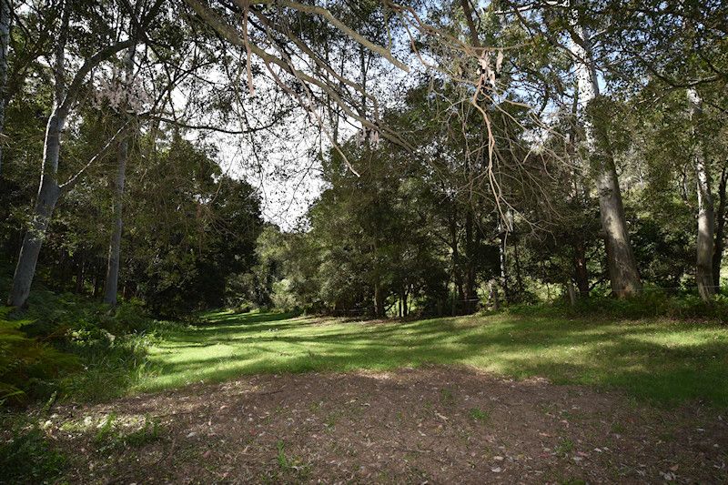 Watagan Creek Road, Laguna NSW 2325, Image 2