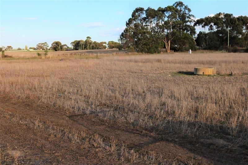 Crown Allotments/2 & 3 Carmichael Street, Woolsthorpe VIC 3276, Image 1