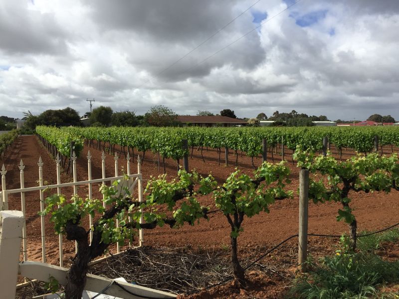 960 Heaslip Road, Macdonald Par Property History & Address Research