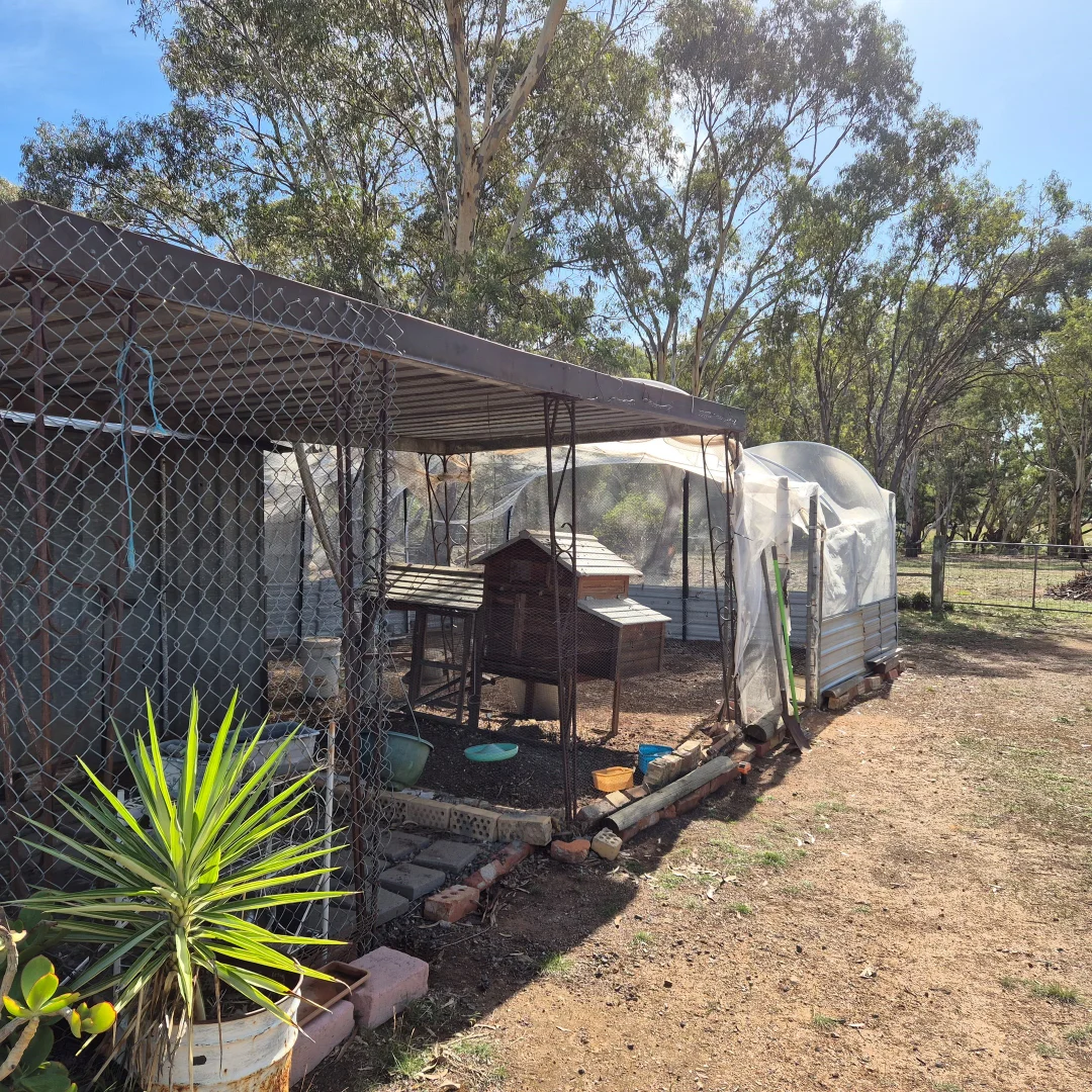 Additional image 13 of 40 SEPARATION ROAD, Dunolly VIC 3472