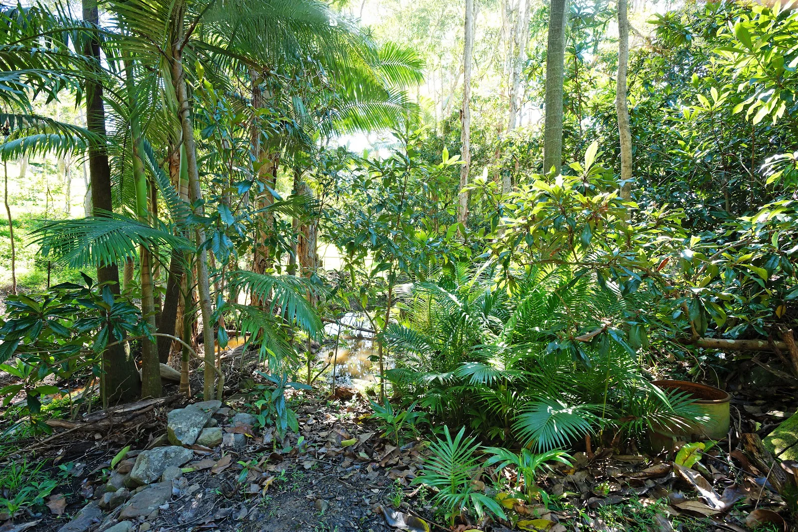 Image 16