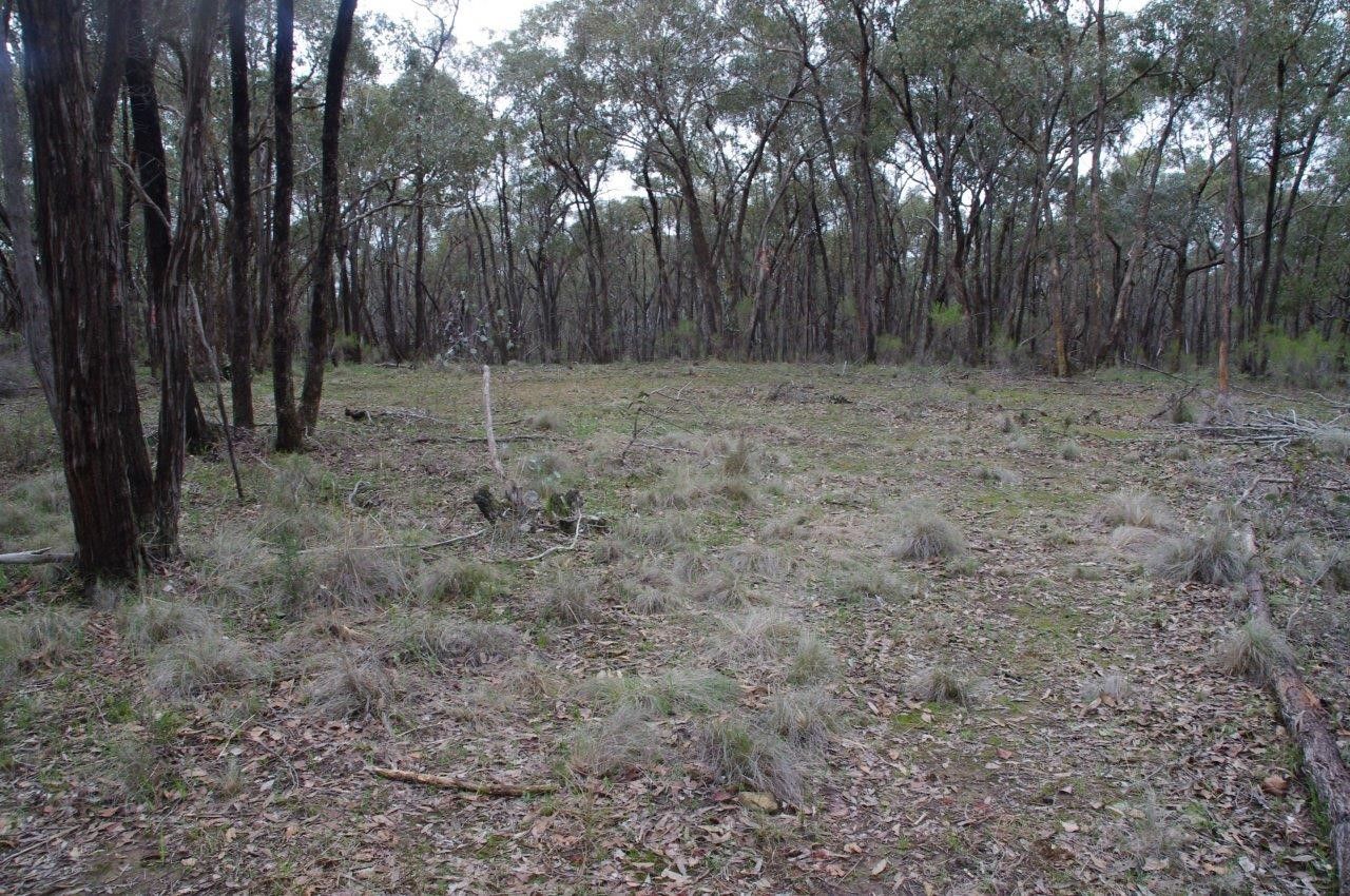 Lot 2 Rooney Road, Mandurang South VIC 3551, Image 1