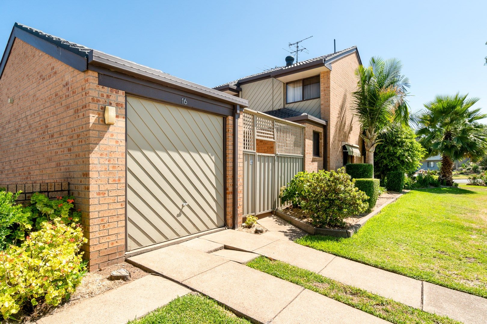 16/26 Willcox Avenue, Singleton NSW 2330, Image 0