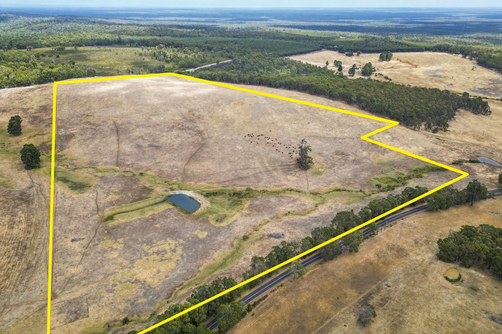 Vacant land in Lot 801 Graphite Road, NANNUP WA, 6275