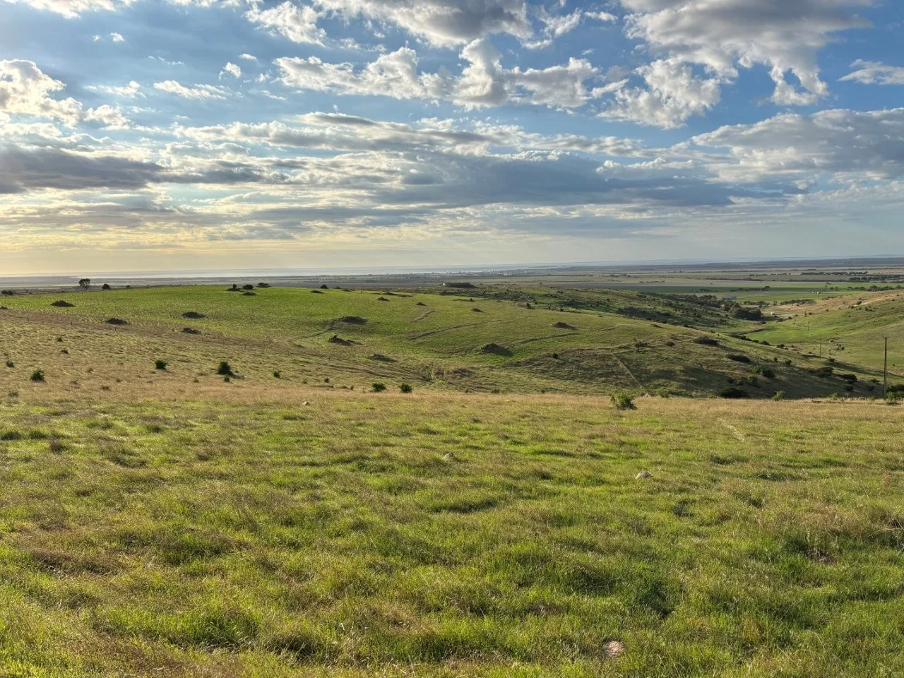 Additional image 14 of Lot 42 Harvey Well Road, Tumby Bay SA 5605