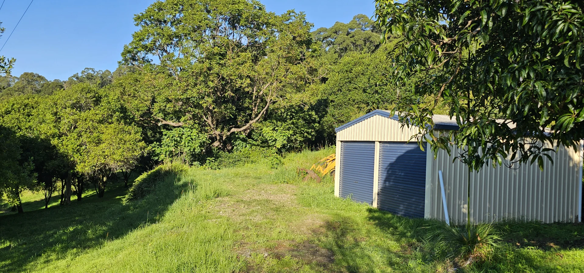 Image 6