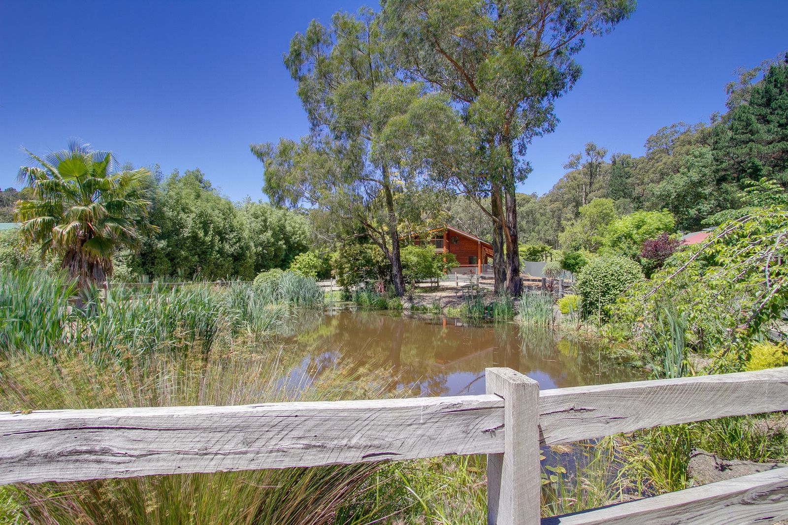 230 Woori Yallock Road, Cockatoo VIC 3781, Image 0