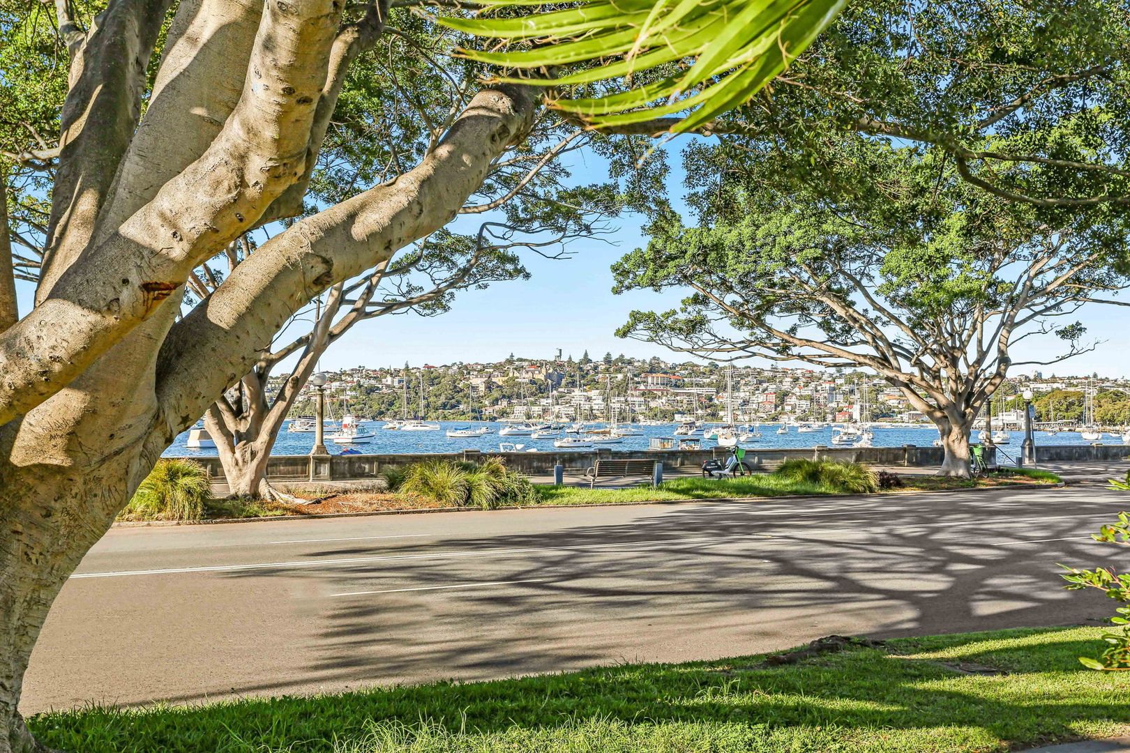1/605 New South Head Road, Rose Bay NSW 2029, Image 2