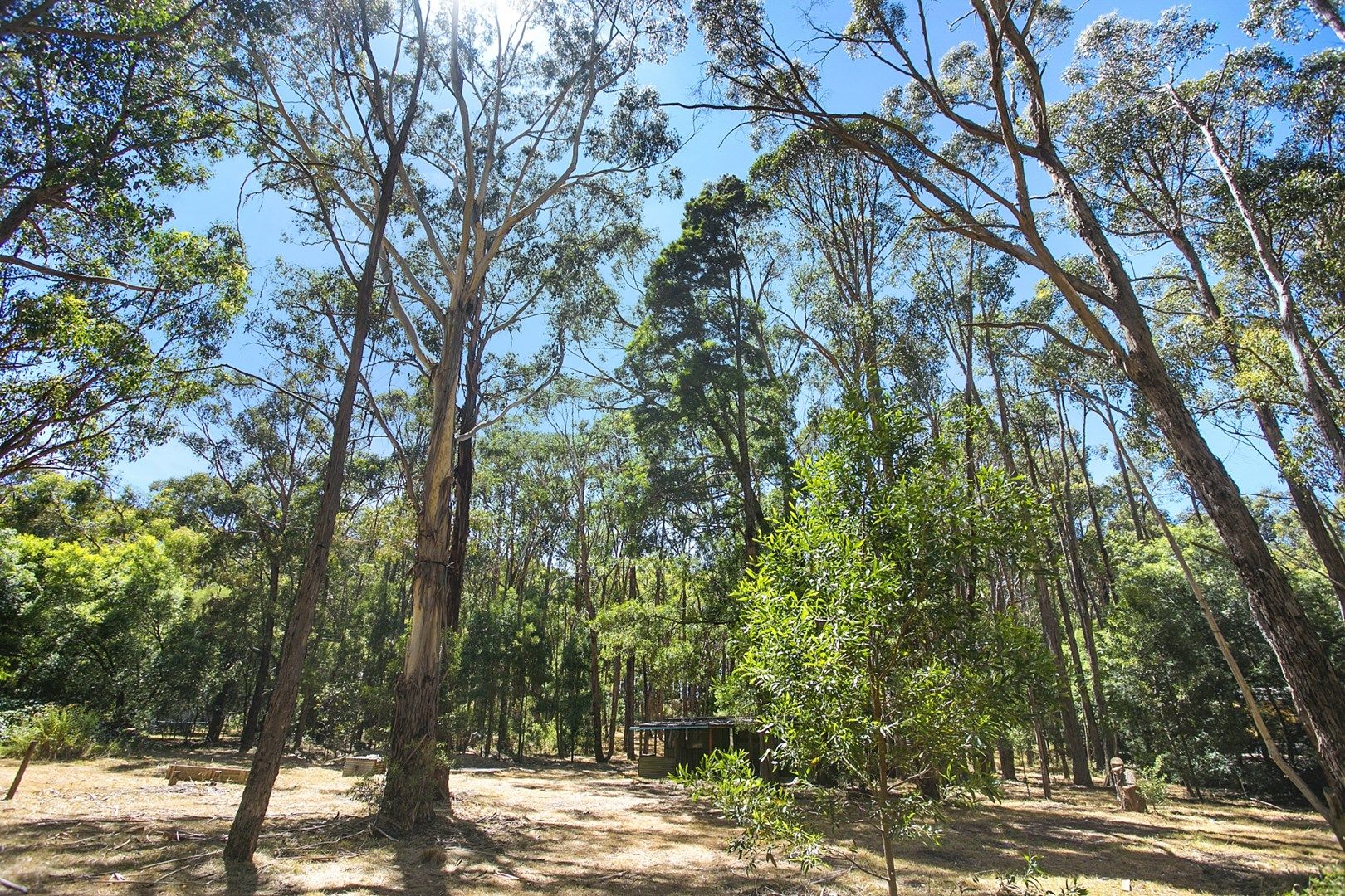 10 Burma Track, Eganstown VIC 3461, Image 0