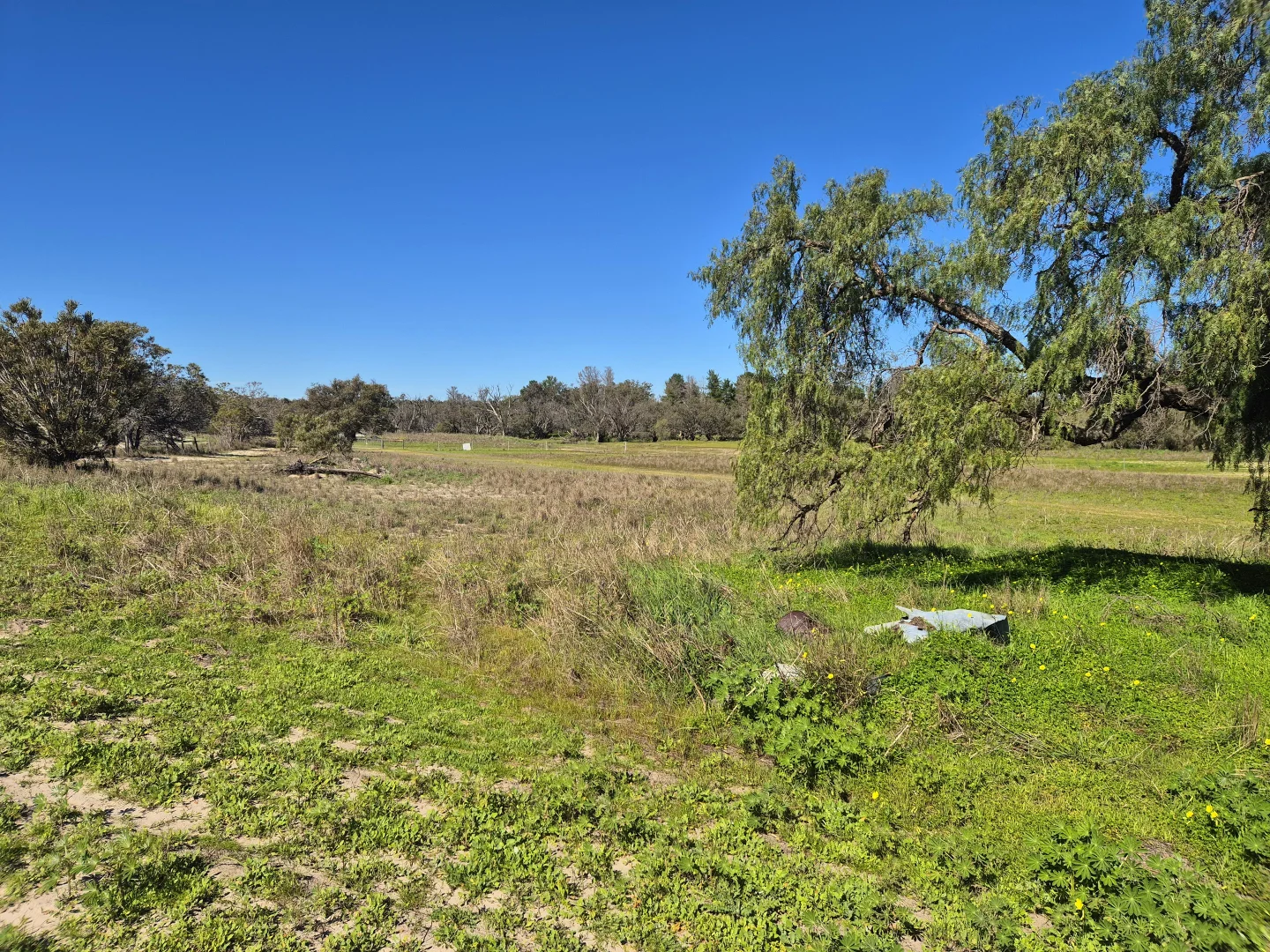 Image 13