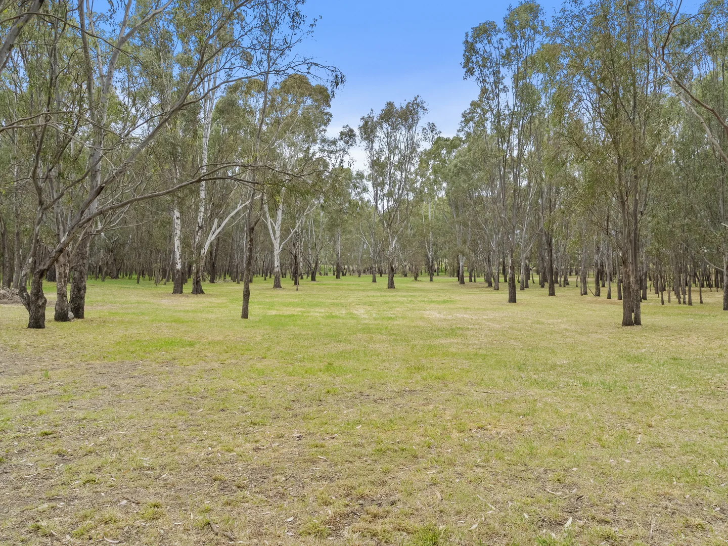 Image 35