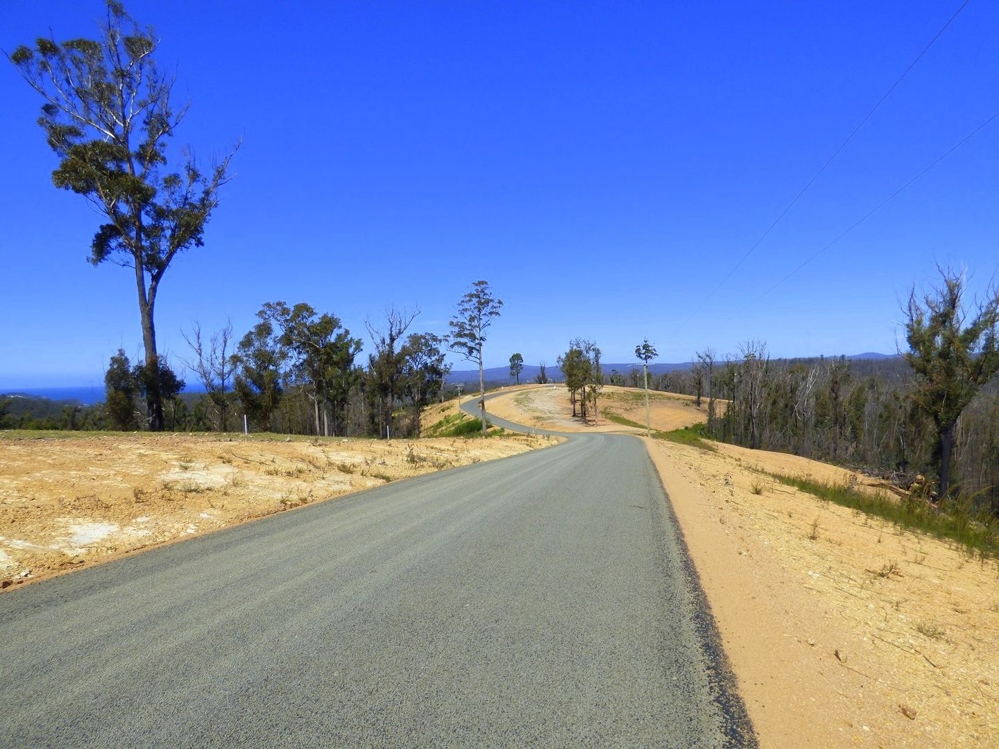 Lot C, 256 Towamba Road, Eden NSW 2551, Image 2