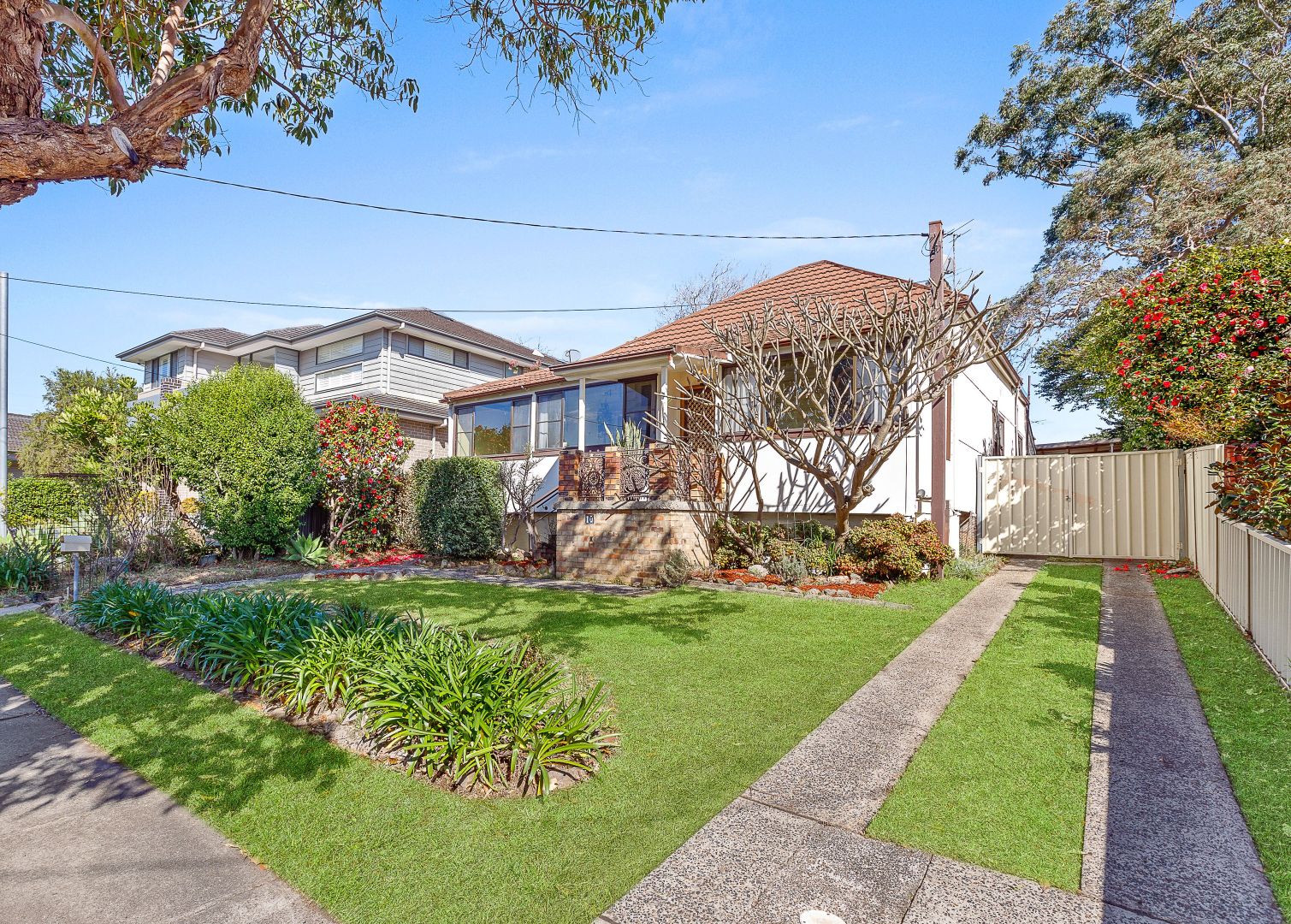 10 Buffalo Road, Gladesville Property History & Address Research Domain