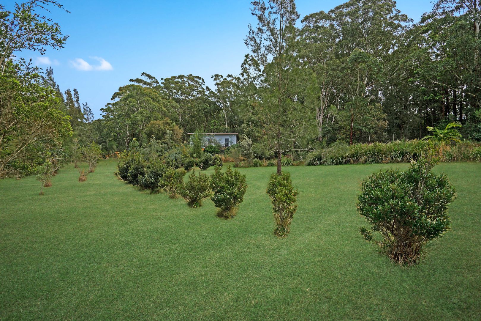 Lot 101 Seal Rocks Road, Seal Rocks NSW 2423, Image 1