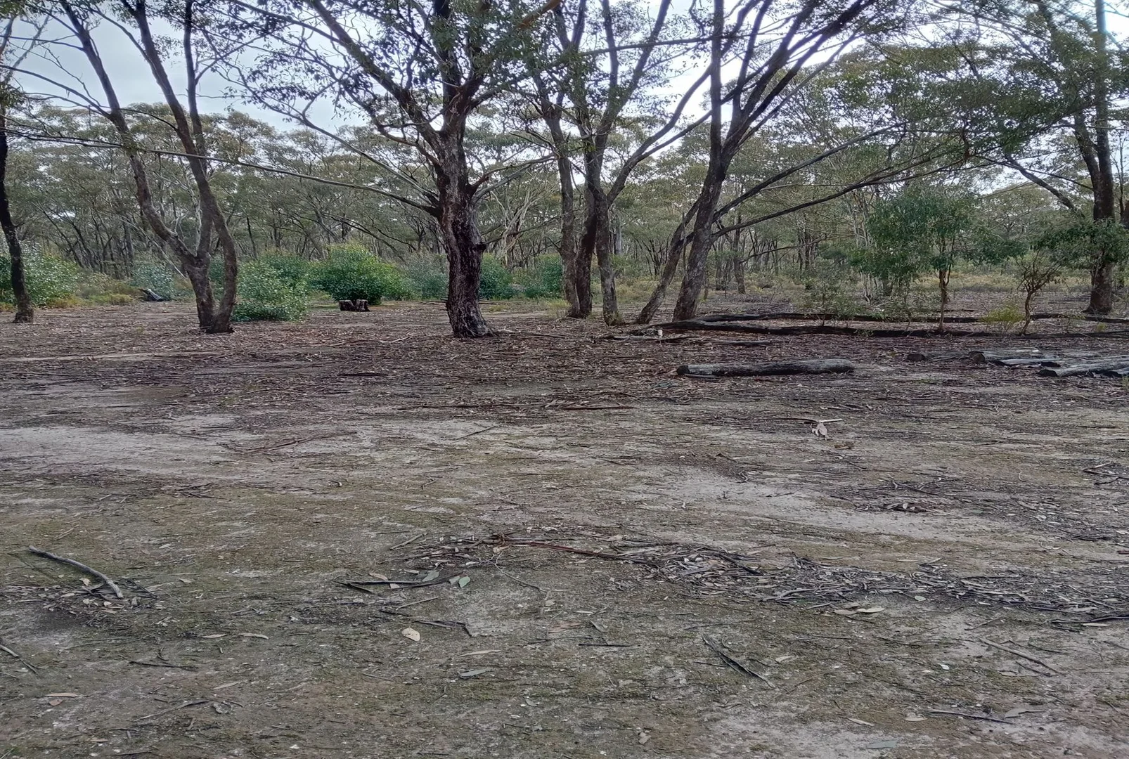 Image 10