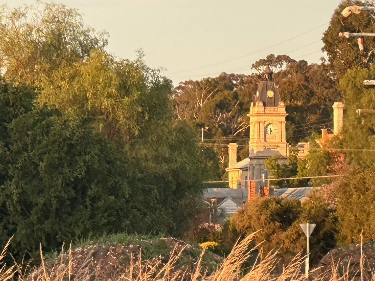 Image 7