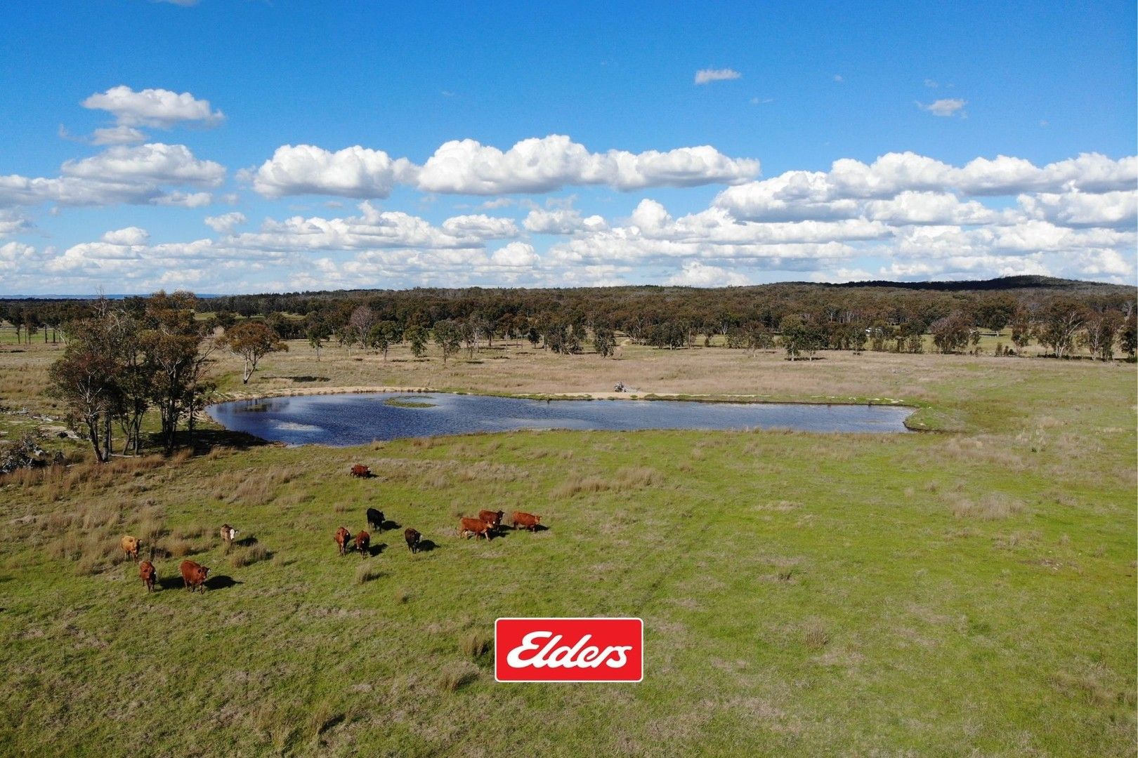 Rural in 13194 GUYRA ROAD, TINGHA NSW, 2369