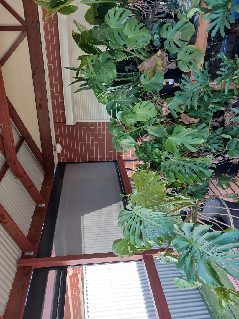 Additional image 8 of 6A Fourth Ave, St Morris SA 5068