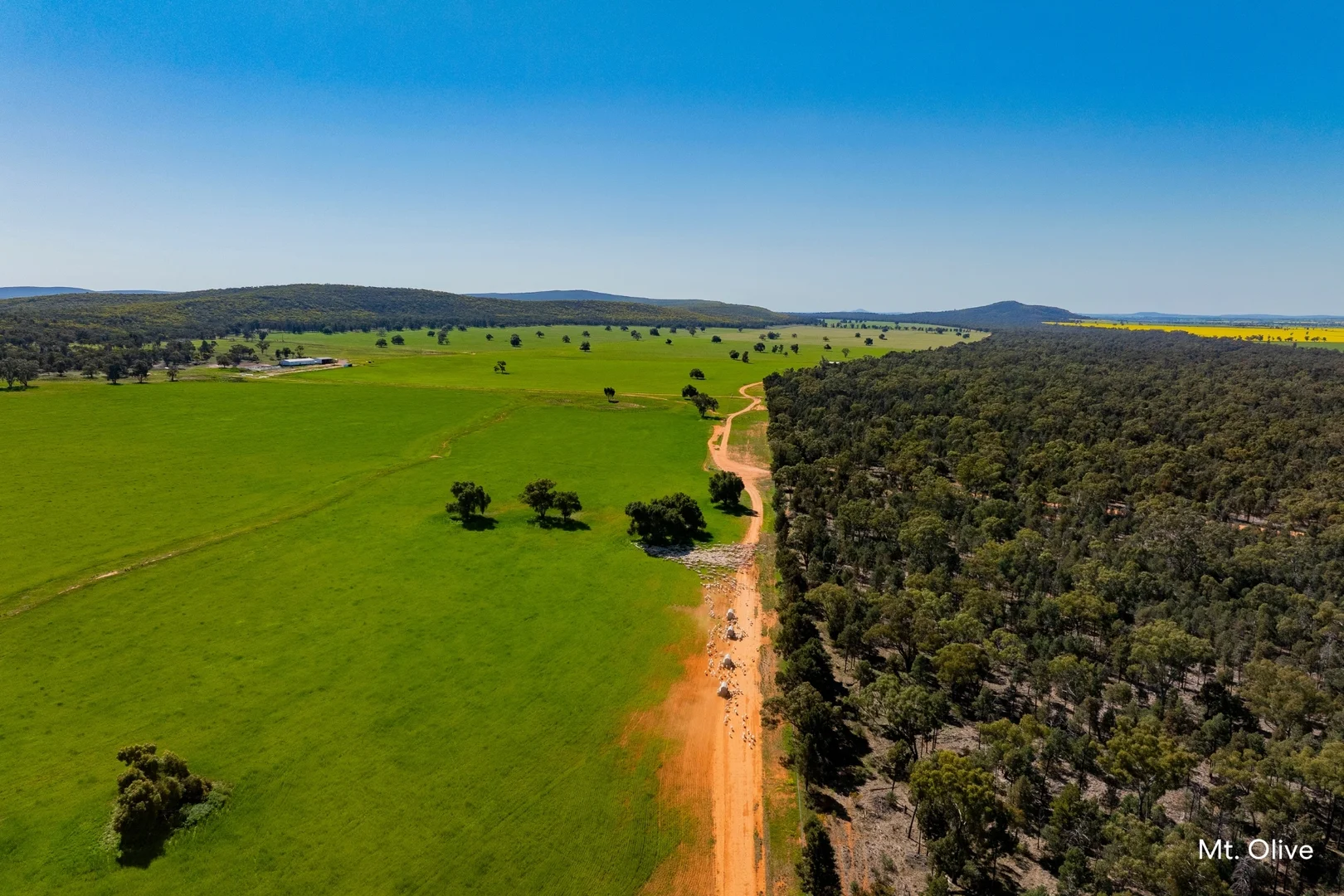 Additional image 17 of Kamarah Road, Narrandera NSW 2700