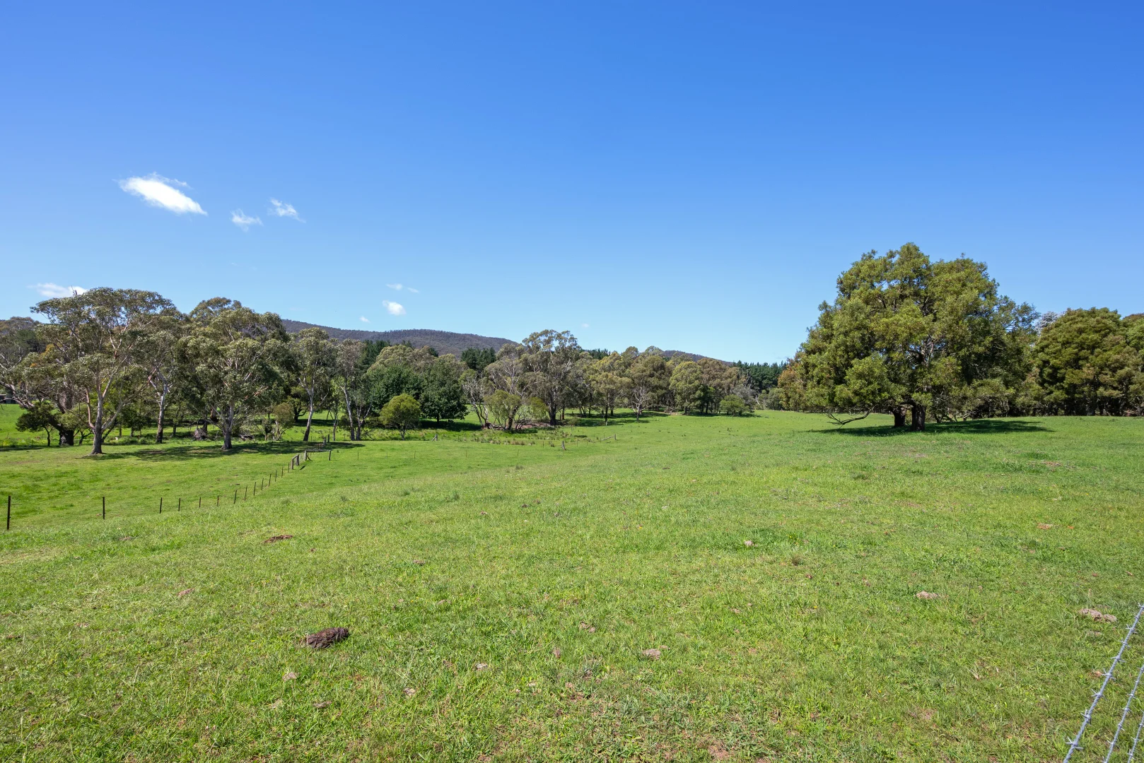 Additional image 20 of 438 Sawyers Ridge Road, Braidwood NSW 2622