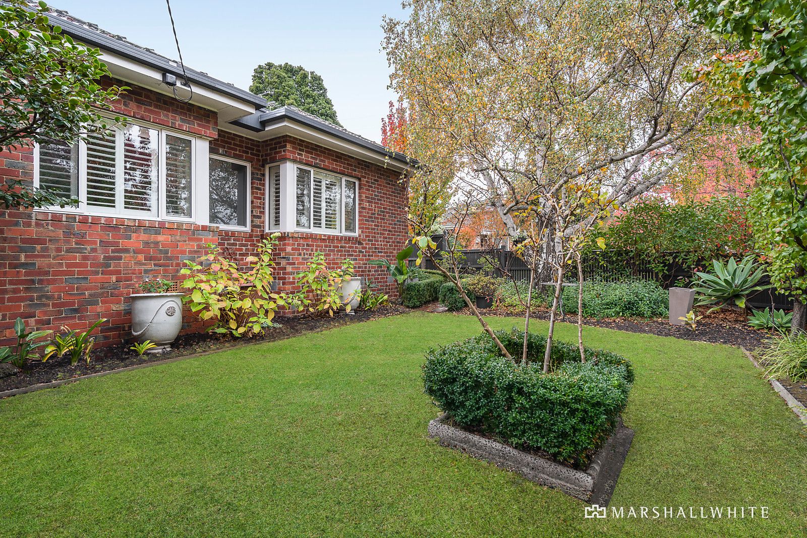 57 Pascoe Street, Glen Iris VIC 3146, Image 1