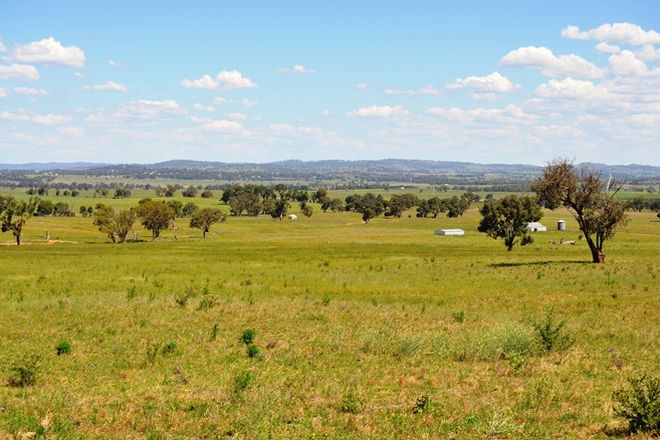 Picture of 343 Puggoon Road, GULGONG NSW 2852