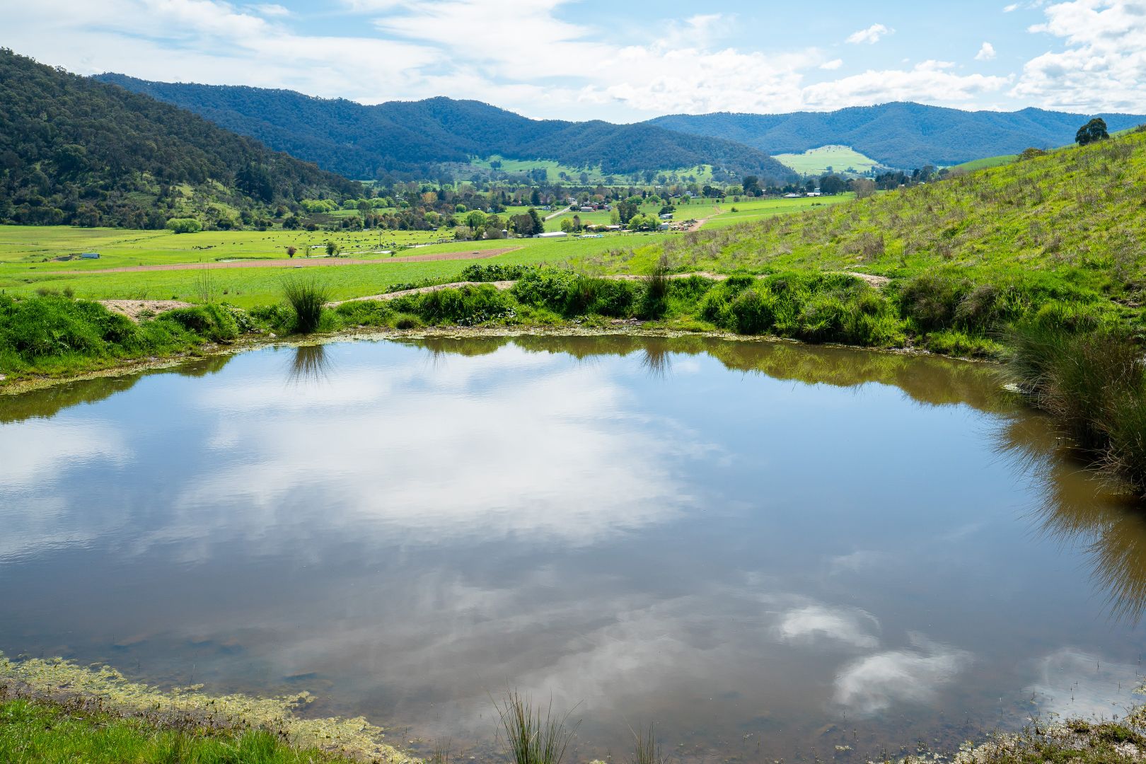 'Cherry Plum'/265 Little Snowy Creek Rd, Eskdale VIC 3701, Image 1