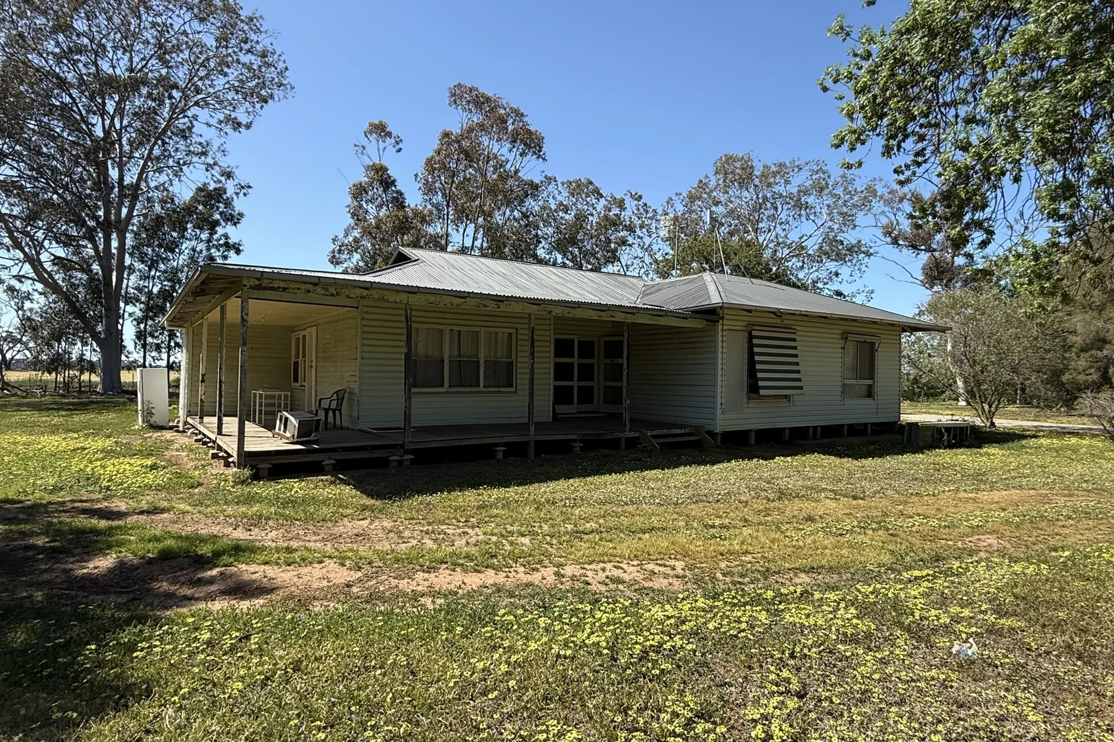 Image 6
