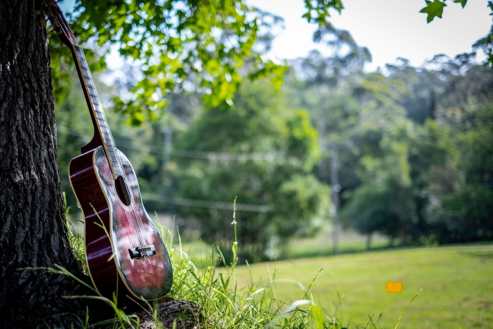 700 The Scenic Road, Macmasters Beach NSW 2251, Image 1