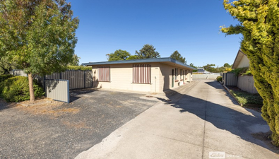 Picture of 1-3/204 Smith Street, NARACOORTE SA 5271