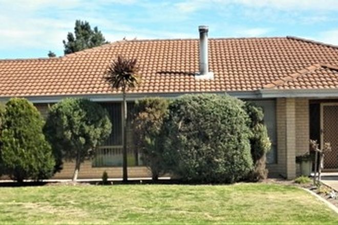 Picture of 11 Hill Way, KATANNING WA 6317