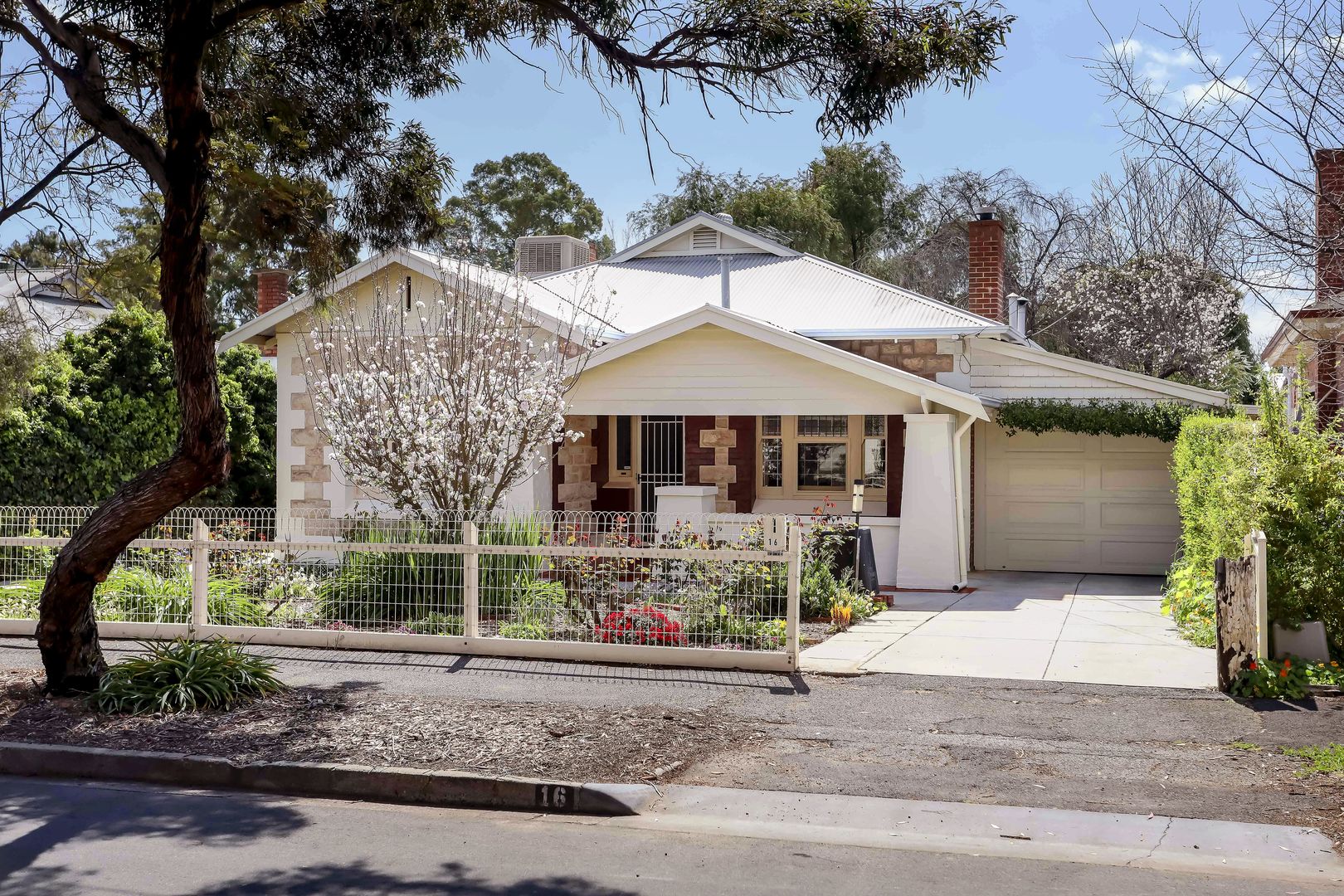 16 Thomas Street, Clarence Gardens SA 5039 Domain