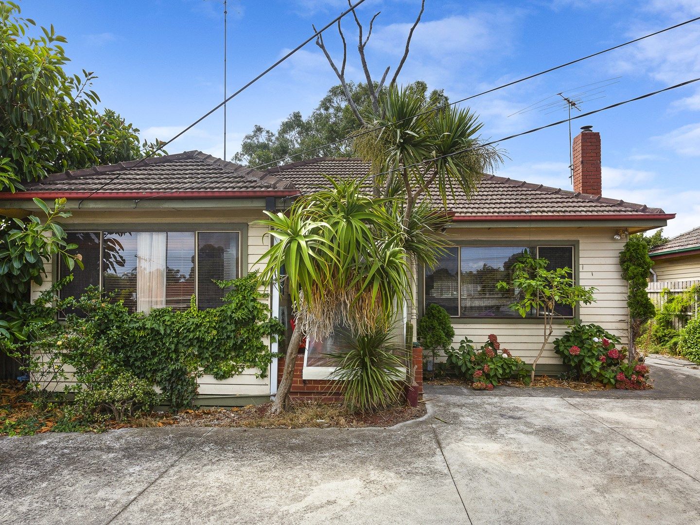 207 Centre Dandenong Road, Cheltenham VIC 3192, Image 0