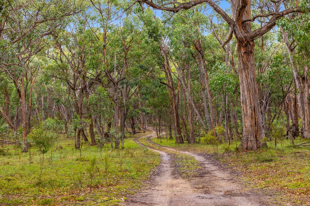 Additional image 19 of 734 Elaine - Egerton Road, Morrisons VIC 3334