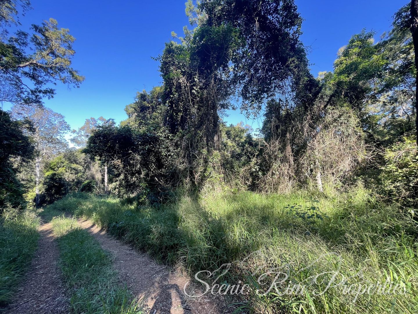 Lot 10 Frenches Creek Road, Frenches Creek QLD 4310, Image 1