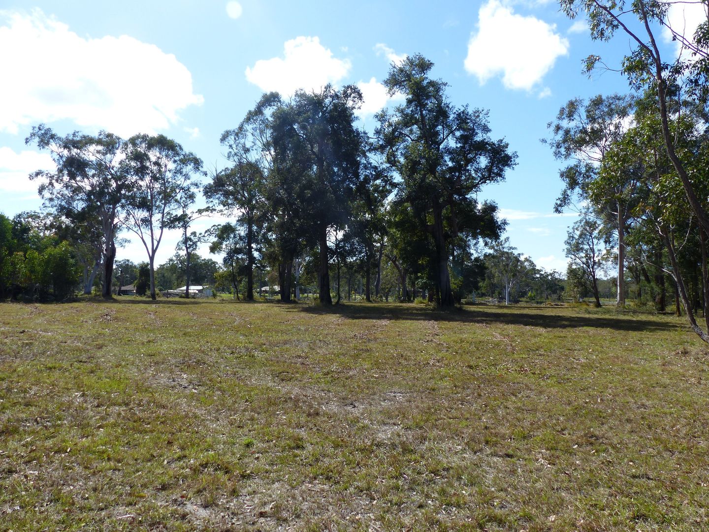 Lot 17 Cream Box Ct, Ringtail Creek QLD 4565, Image 1