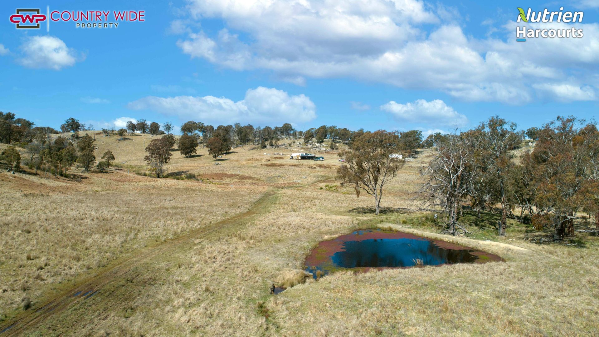 668 Ten Mile Road, Deepwater NSW 2371 House for Sale Domain