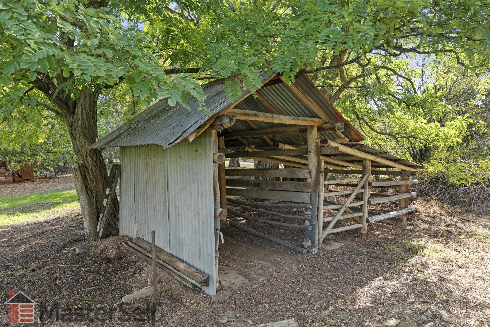 Image 26